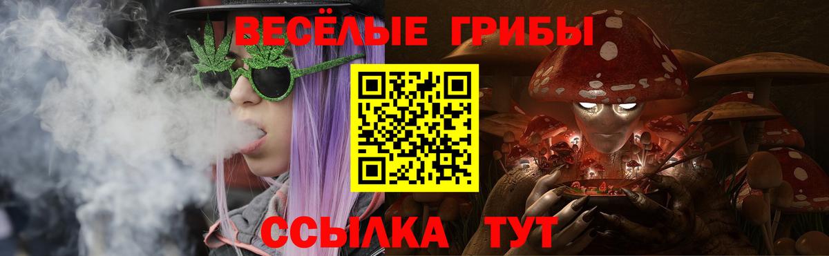 Вязники  закладка  Вход с VPN  Галлюциногенные грибы ЛСД 